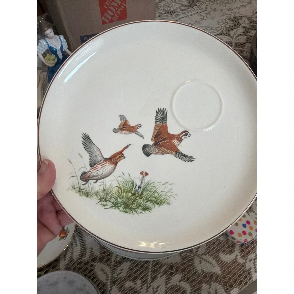 Vintage Salem China Quail Hunting Dog Snack Plate USA Ironstone Bird Sporting